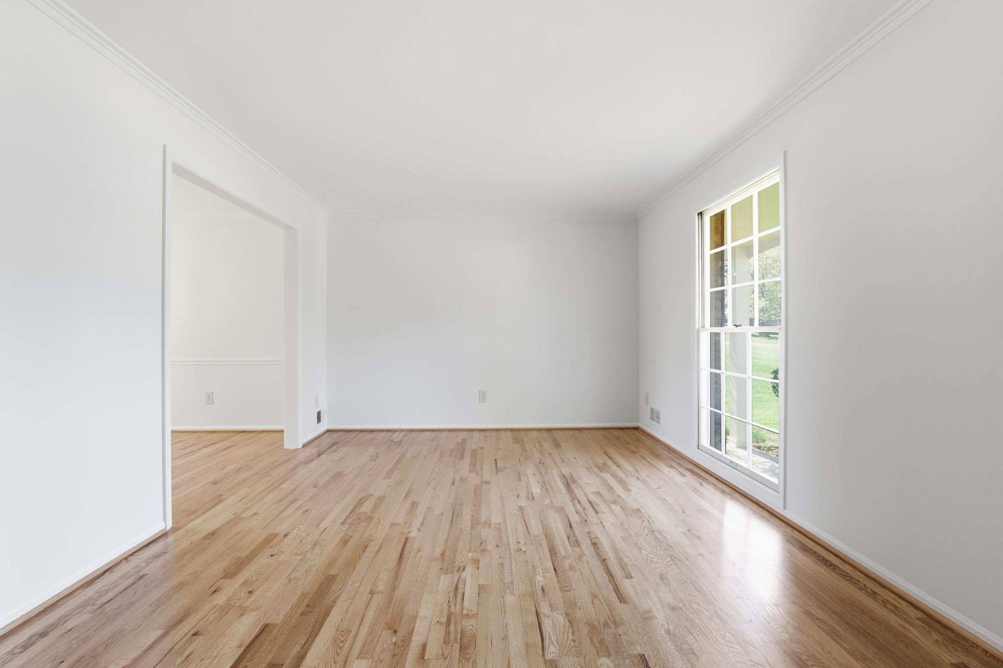 Main Level